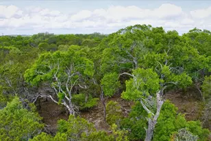 24369 Round Mountain Rd, Leander, TX 78641 - Photo 15