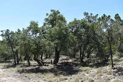 24369 Round Mountain Road #6, Leander, TX 78641 - Photo 21