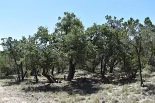 24369 Round Mountain Rd, Leander, TX 78641 - Photo 21