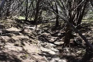 24369 Round Mountain Rd, Leander, TX 78641 - Photo 19