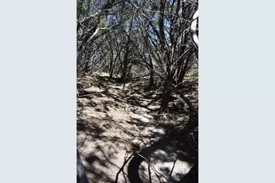 24369 Round Mountain Road #6, Leander, TX 78641 - Photo 19