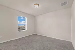 221 Longmount Cv, Liberty Hill, TX 78642 - Photo 29