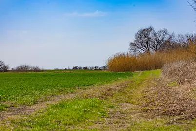 7531 Fm 1105 Road, Georgetown, TX 78626 - Photo 11