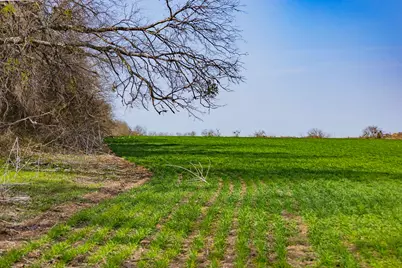 7531 Fm 1105 Road, Georgetown, TX 78626 - Photo 17