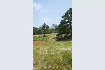 555 Altamira Lane, Dale, TX 78616 - Photo 3