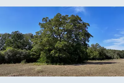 Tbd Highway 71 Highway, Fayetteville, TX 78940 - Photo 3