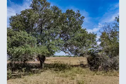 Tbd Highway 71 Highway, Fayetteville, TX 78940 - Photo 5