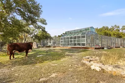751 Prochnow Road, Dripping Springs, TX 78620 - Photo 13