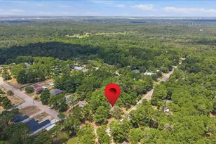 243 Pine View Loop, Bastrop, TX 78602 - Photo 37