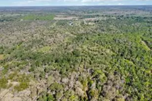 Tbd High Grove Rd, Cedar Creek, TX 78612 - Photo 15