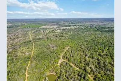 Tbd High Grove Road, Cedar Creek, TX 78612 - Photo 5