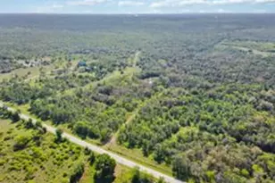 Tbd High Grove Rd, Cedar Creek, TX 78612 - Photo 3