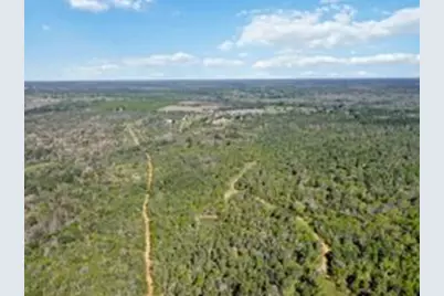 Tbd High Grove Road, Cedar Creek, TX 78612 - Photo 7