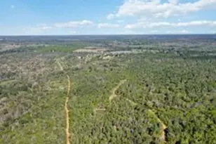 Tbd High Grove Rd, Cedar Creek, TX 78612 - Photo 7