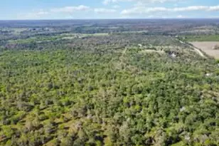 Tbd High Grove Rd, Cedar Creek, TX 78612 - Photo 9