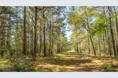 000 Bighorn Road, Huntsville, TX 77340 - Photo 7