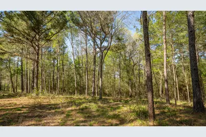 000 Bighorn Road, Huntsville, TX 77340 - Photo 21