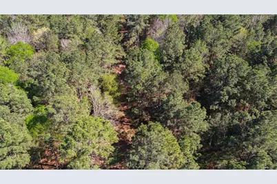 000 Bighorn Road, Huntsville, TX 77340 - Photo 29