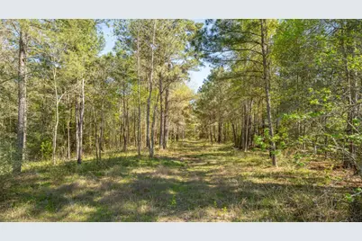 000 Bighorn Road, Huntsville, TX 77340 - Photo 1