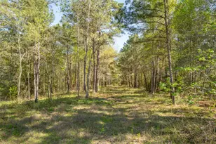 000 Bighorn Rd, Huntsville, TX 77340 - Photo 1