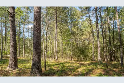 000 Bighorn Road, Huntsville, TX 77340 - Photo 15