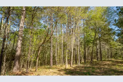 000 Bighorn Road, Huntsville, TX 77340 - Photo 17