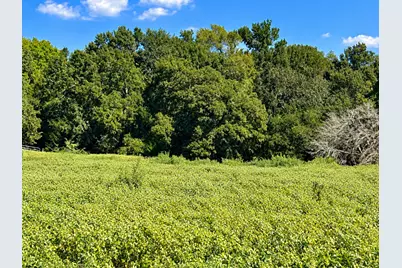 6228 Fm 141 Road, Dime Box, TX 77853 - Photo 3
