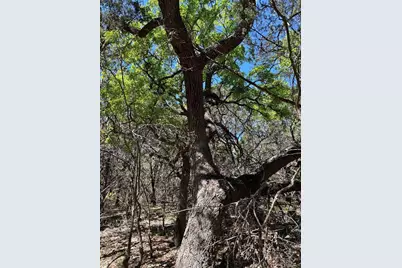 23 Heathrow Lane, Wimberley, TX 78676 - Photo 21