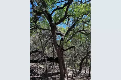 23 Heathrow Lane, Wimberley, TX 78676 - Photo 11