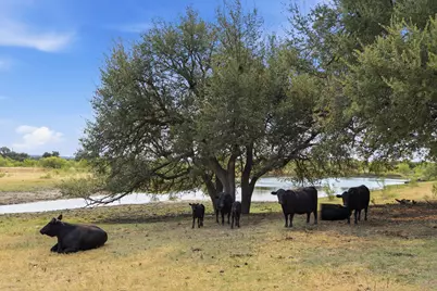 8750 Fm 2243 C, Leander, TX 78641 - Photo 15
