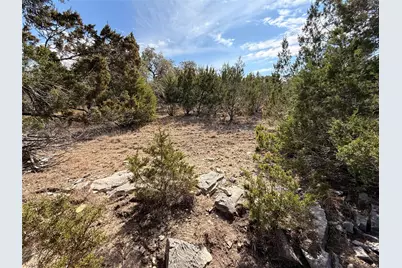 21503 Paine Avenue, Lago Vista, TX 78645 - Photo 3