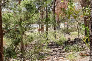 140 Kellogg Ln, Bastrop, TX 78602 - Photo 25
