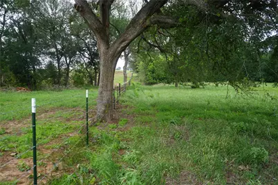 1454 Red Town Road, Elgin, TX 78621 - Photo 33