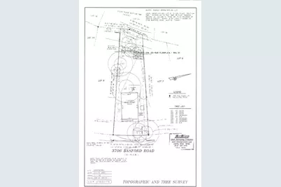 3706 Basford Road, Austin, TX 78722 - Photo 3