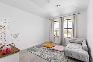 317 Golden Sage Ave, Georgetown, TX 78633 - Photo 25