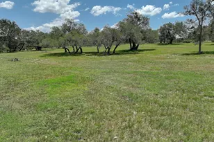 3514 Fm 3509, Burnet, TX 78611 - Photo 17