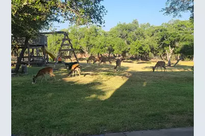 1610 County Road 262, Georgetown, TX 78633 - Photo 23