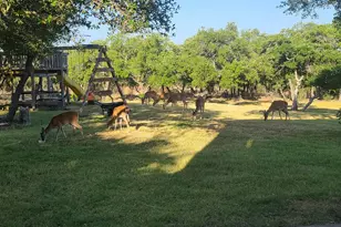 1610 Co Rd 262, Georgetown, TX 78633 - Photo 23