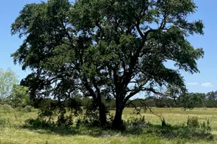 11 Becky Ln, Bertram, TX 78605 - Photo 9