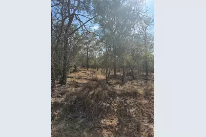 Lot 539 Kaaawa Lane, Bastrop, TX 78602 - Photo 5