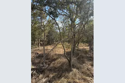 Lot 539 Kaaawa Lane, Bastrop, TX 78602 - Photo 3