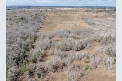 Tbd County Road 424, Waelder, TX 78959 - Photo 11