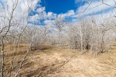 Tbd County Road 424, Waelder, TX 78959 - Photo 17
