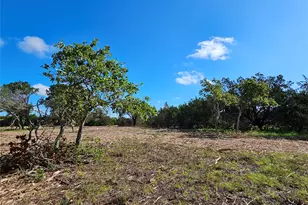 Lot 22 Riparian Elm Rd, Bertram, TX 78605 - Photo 7