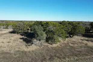 Lot 29 Riparian Elm Rd, Bertram, TX 78605 - Photo 5