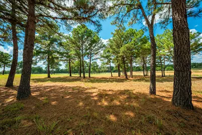 212 Meuth Cemetery Road, Red Rock, TX 78662 - Photo 19