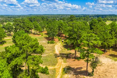 212 Meuth Cemetery Road, Red Rock, TX 78662 - Photo 7