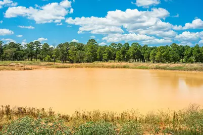 212 Meuth Cemetery Road, Red Rock, TX 78662 - Photo 11