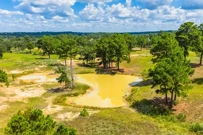 212 Meuth Cemetery Road, Red Rock, TX 78662 - Photo 9