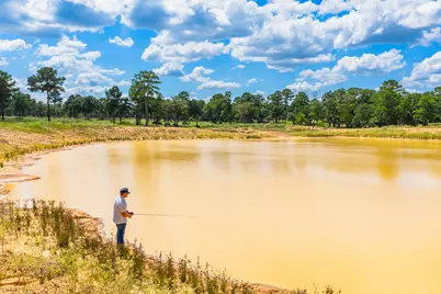 212 Meuth Cemetery Road, Red Rock, TX 78662 - Photo 5